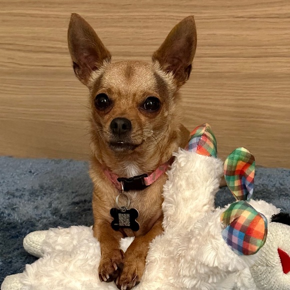 Meet your Posher, Kim - Picture 1 of 1